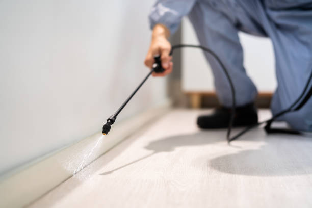 Professional exterminator conducting IPM assessment in Bound Brook