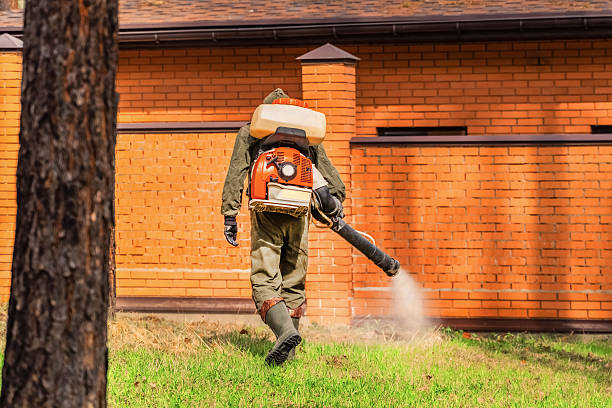 Bed Bug Clearance Verification and Documentation in Bound Brook
